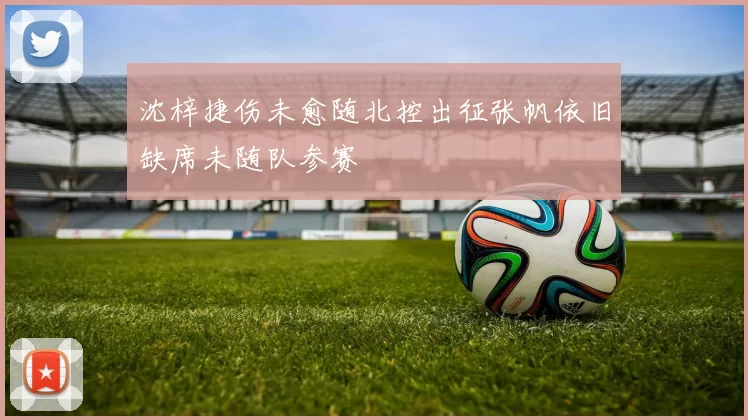 沈梓捷伤未愈随北控出征张帆依旧缺席未随队参赛
